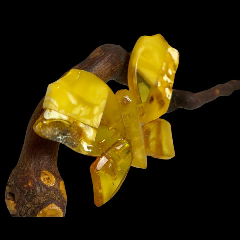 Photo of amber butterfly brooch still leaning on cherry twig and seen from a slight side angle with the front facing towards the right.