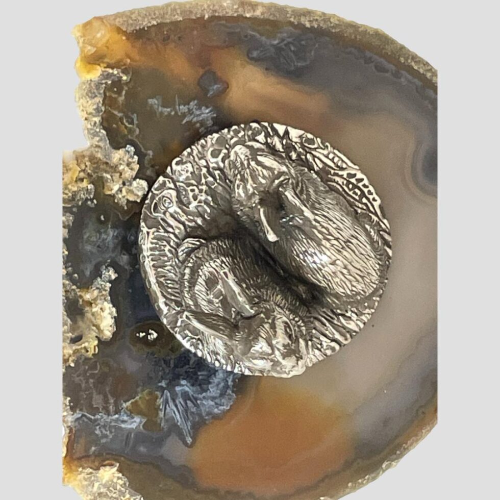 Photo of the rabbits looking straight down from above.