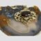 Main photo of Victorian gold filled brooch displayed on top of a slice of natural agate. The photo looks down at the brooch from above with the safety chain shown hooked out to the left in a U shape. This is a very special brooch which would not have looked out of place worn by the flashiest dandies of the day. Lovely frame work around the generous sized stone.
