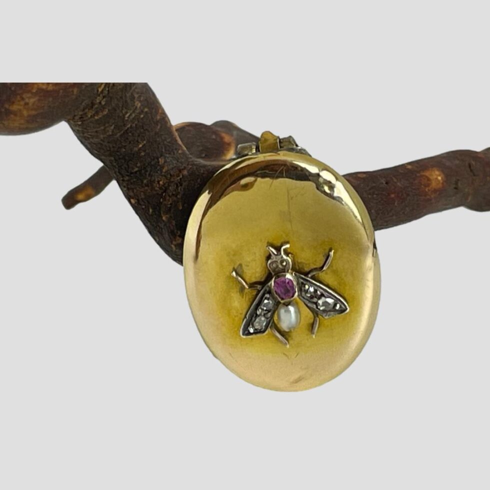 Main photo of Victorian photo locket brooch displayed leaning against a twig and seen from the front looking slightly down. The fly is upright with head at the top. The ruby scutum is encased in a ring of gold while the pearl abdomen is free standing. The white gold wings have 2 old cut diamonds to each with the larger of the stones at the wing tip. Quite an unusual choice of decoration making this quite a rare & quirky piece.