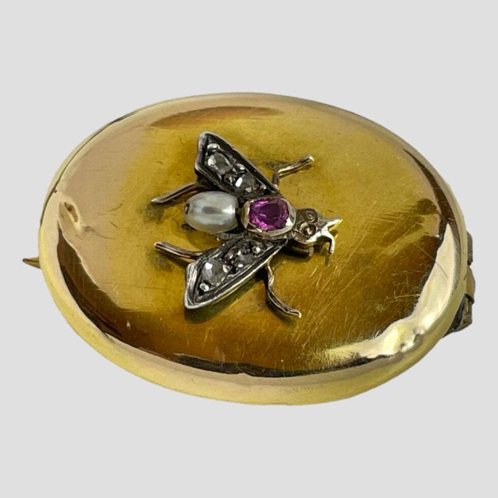 Photo of Victorian locket brooch laid flat horizontally with the fly facing to the right.
