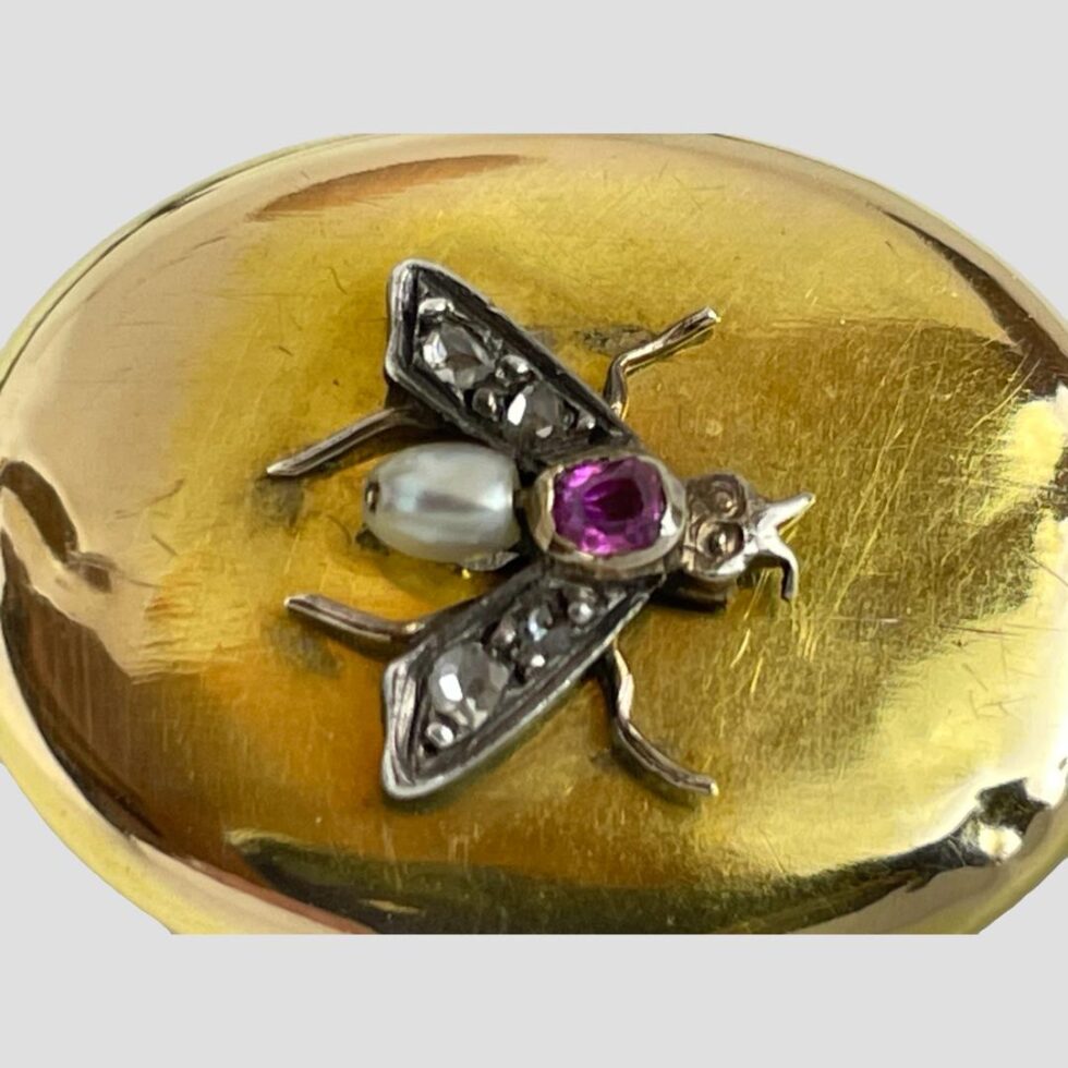 A close up photo of the fly and its jewels.