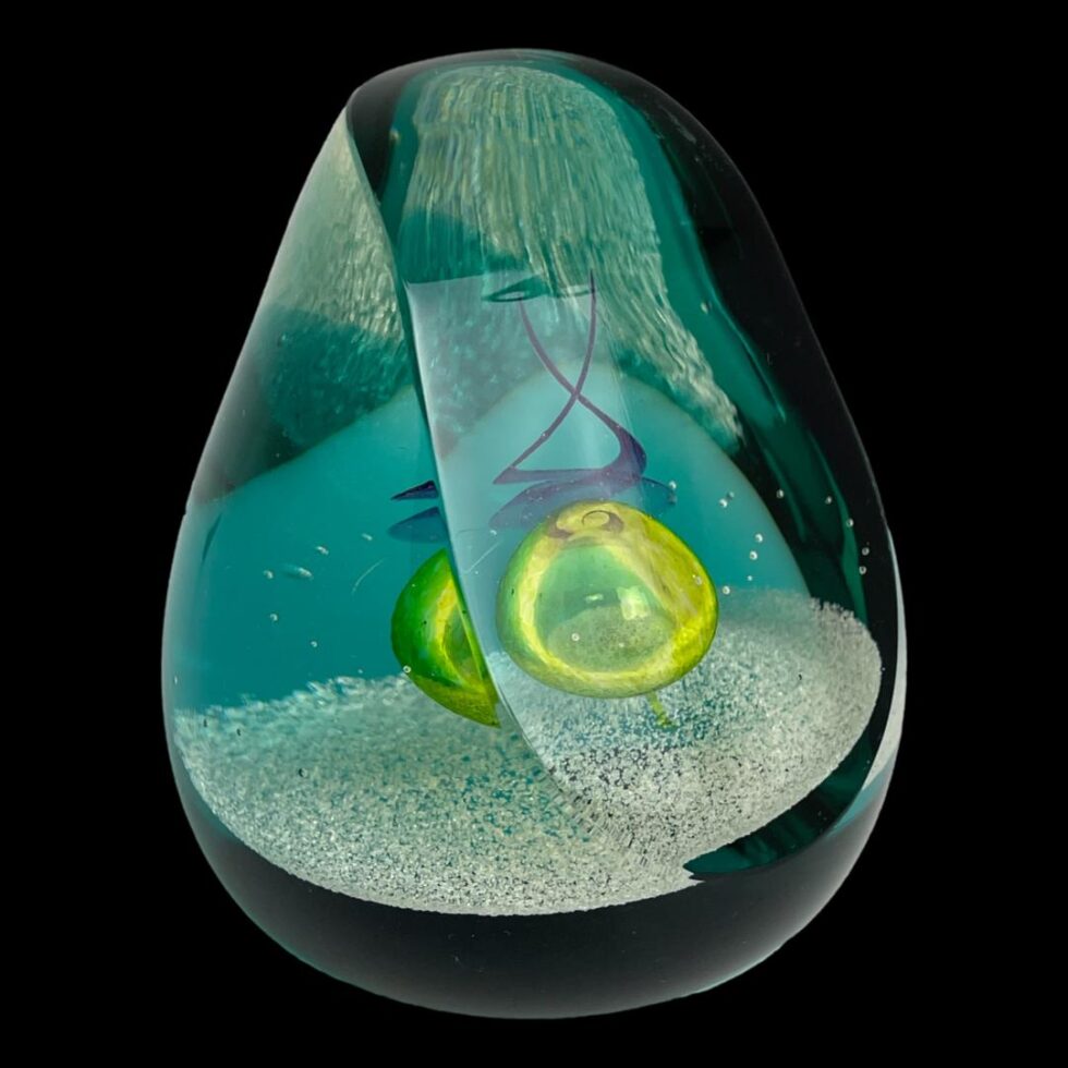 Photo of paperweight shown with flat side facing the bottom right corner. The unusual shape of the glass distorts the design.