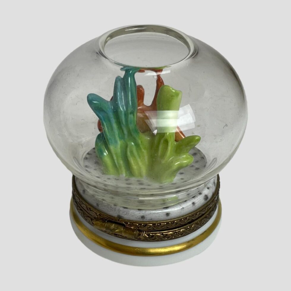 Photo of the back of the fish bowl which shows the seaweed with a little bit of the fish visible behind it.