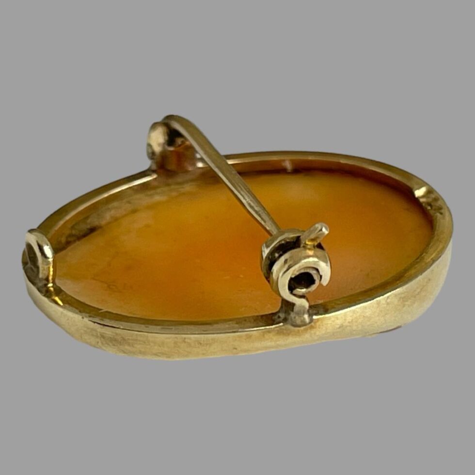 Photo of Shakespeare cameo displayed face down on a flat surface with clasp end in the foreground and the pin closed.