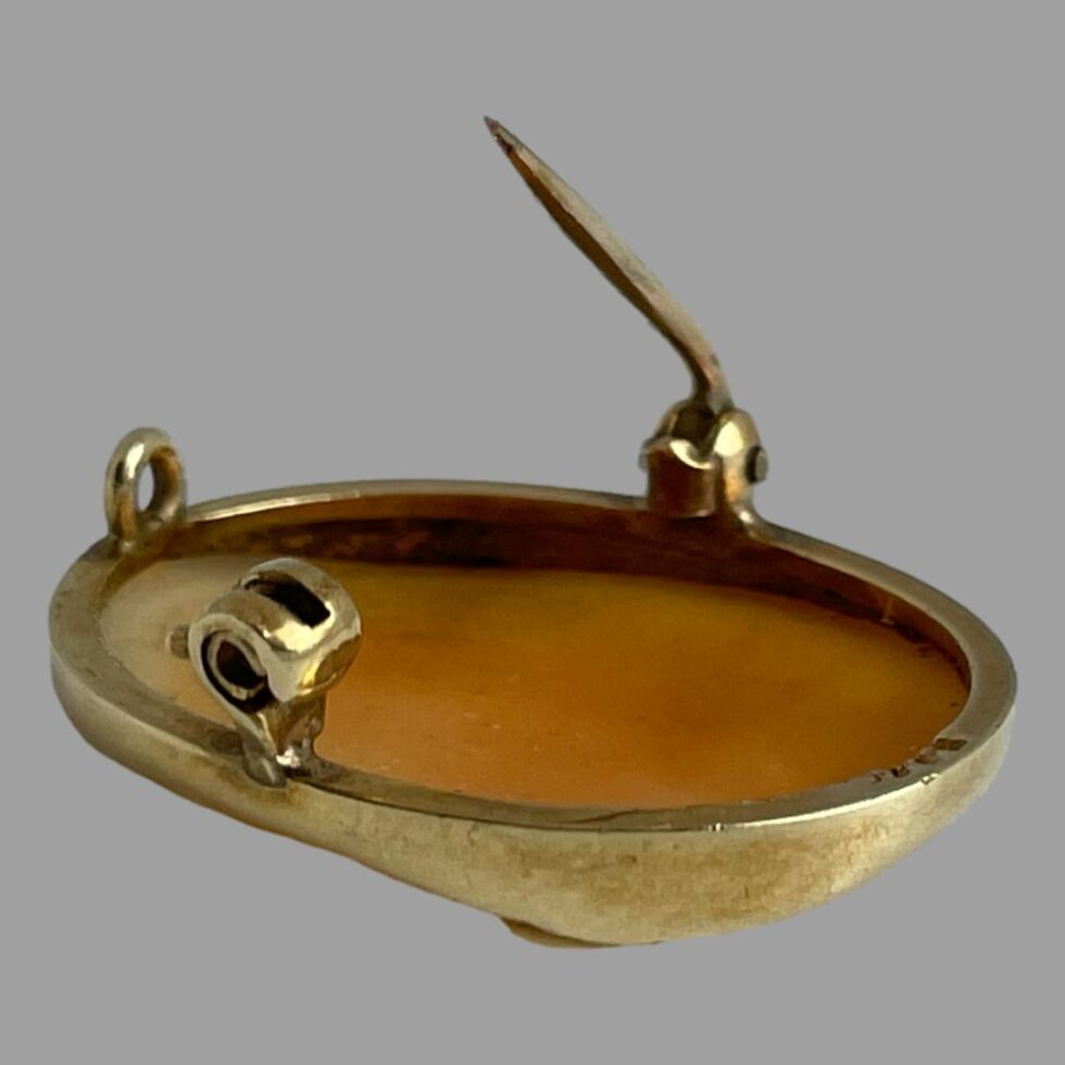 Photo of Shakespeare cameo displayed face down and laid diagonally across the page. The double barrel clasp end is in the bottom left corner and the pin is shown undone and raised halfway up.