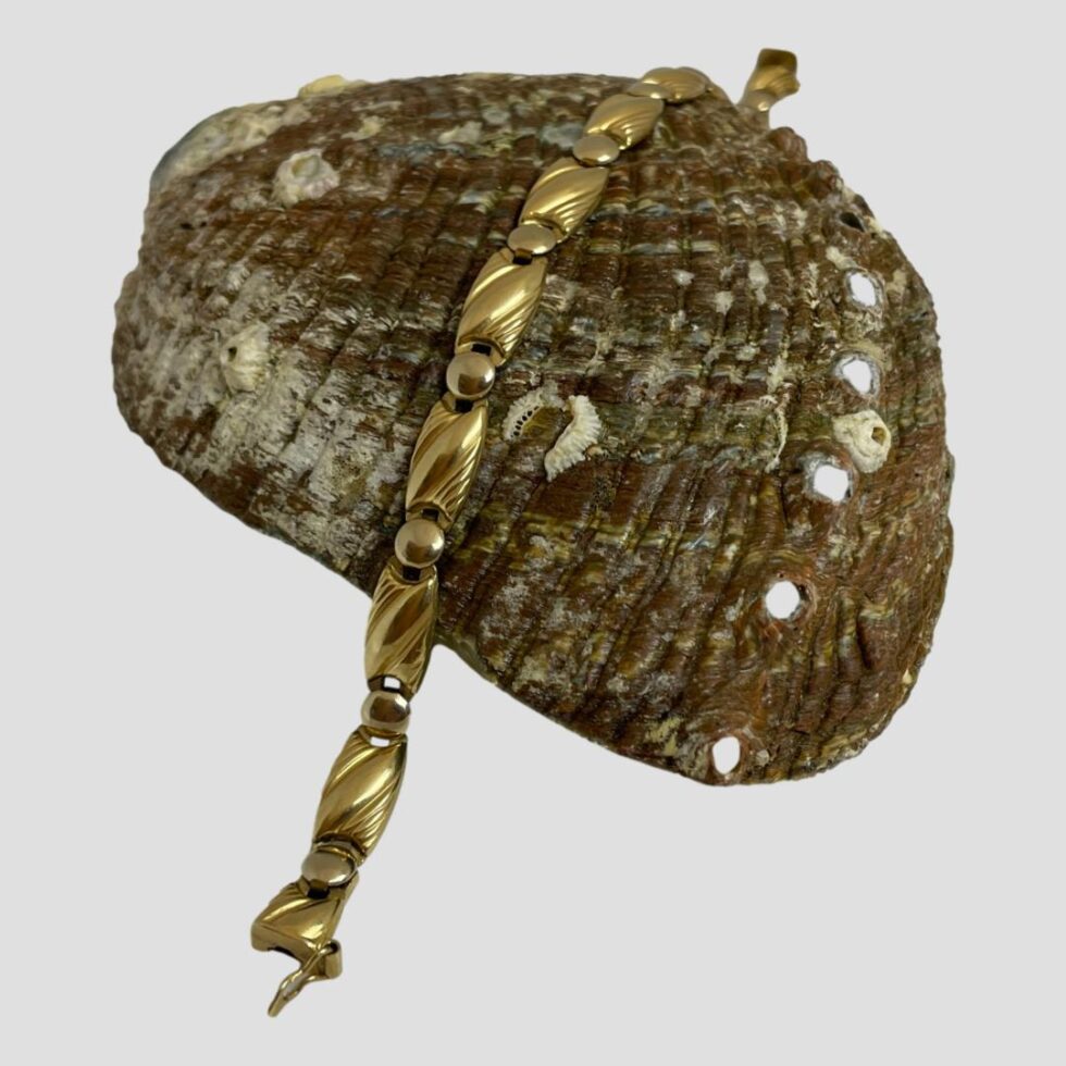 Photo of 18kt Egyptian gold bracelet shown still laid across a sea shell and seen from a vertical angle to main photo (one end of clasp is off centre foreground)