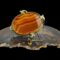 Main photo of Victorian banded agate brooch displayed on top of a slice of natural brown agate. The banded agate is a stunning deep terracotta red colour. The brooch has a pinchbeck frame with small wave shaped loops at 4 sides. On the wave loop on the right, the safety chain is attached and the pin has been placed in the foreground in front of the brooch.