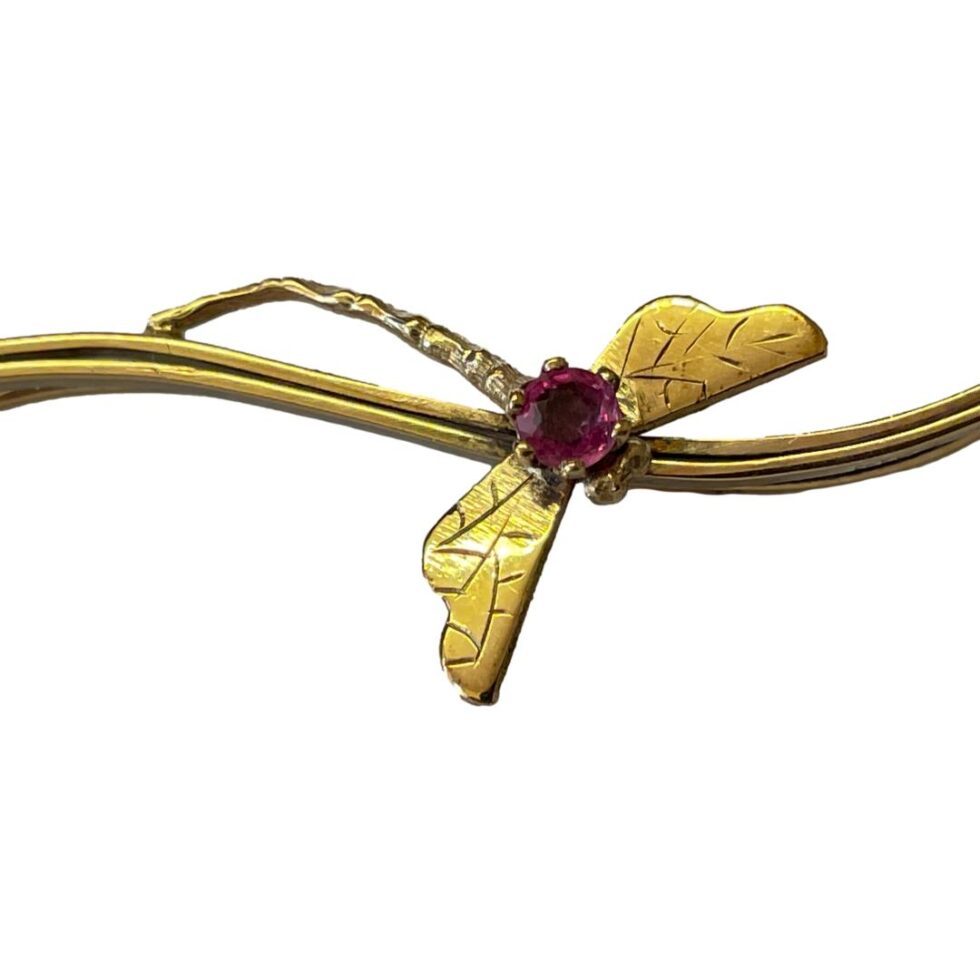 Close up photo of the dragonfly.