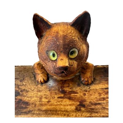 Close up photo of the cat seen from an eye level.