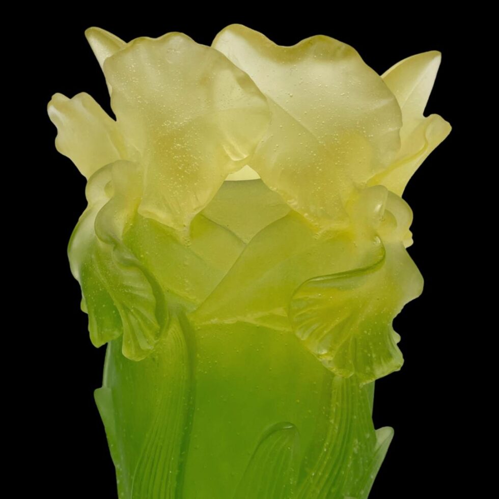 A close up photo of the orchids in profile.