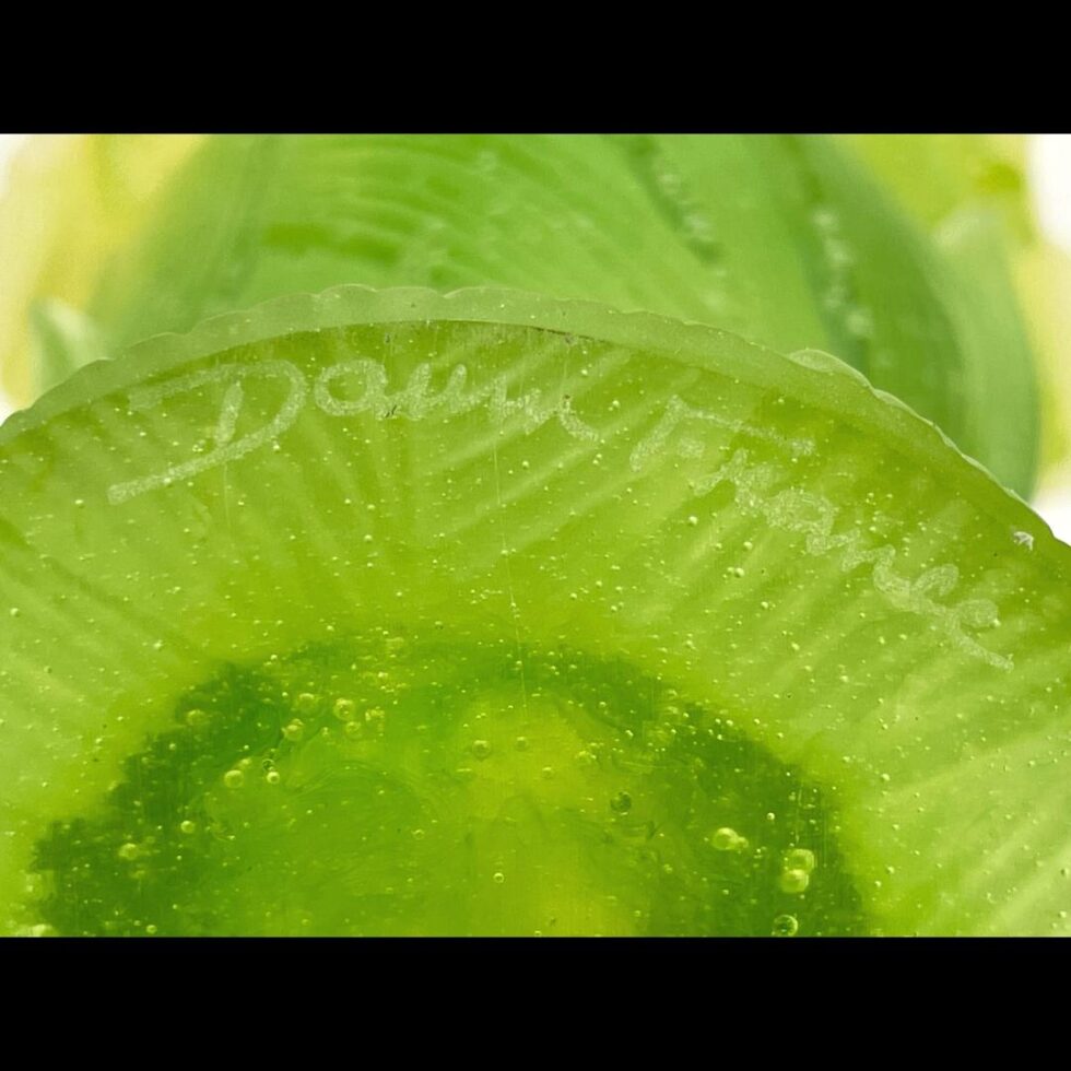 Close up photo of the Daum mark on the base.