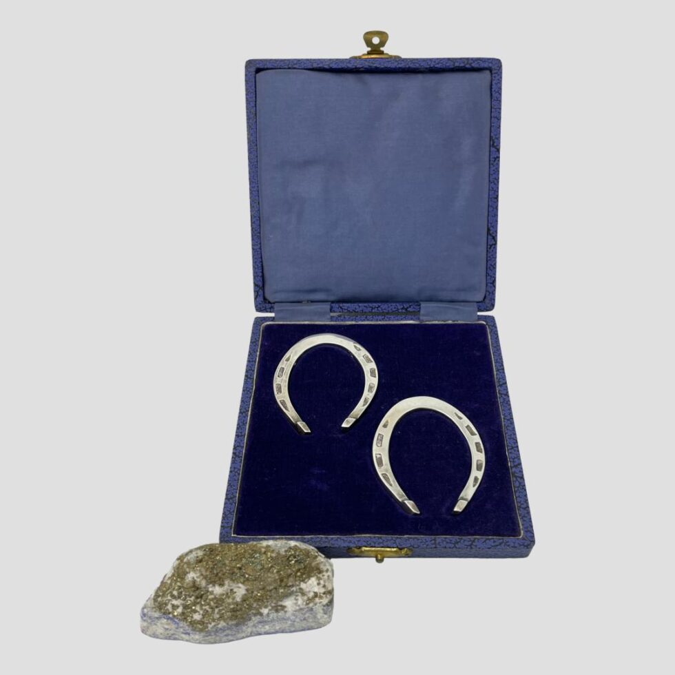 Photo of the horseshoes displayed inside their fitted case both with nail holes side on show. There is a small rock to the front left to hold the case from slipping down.