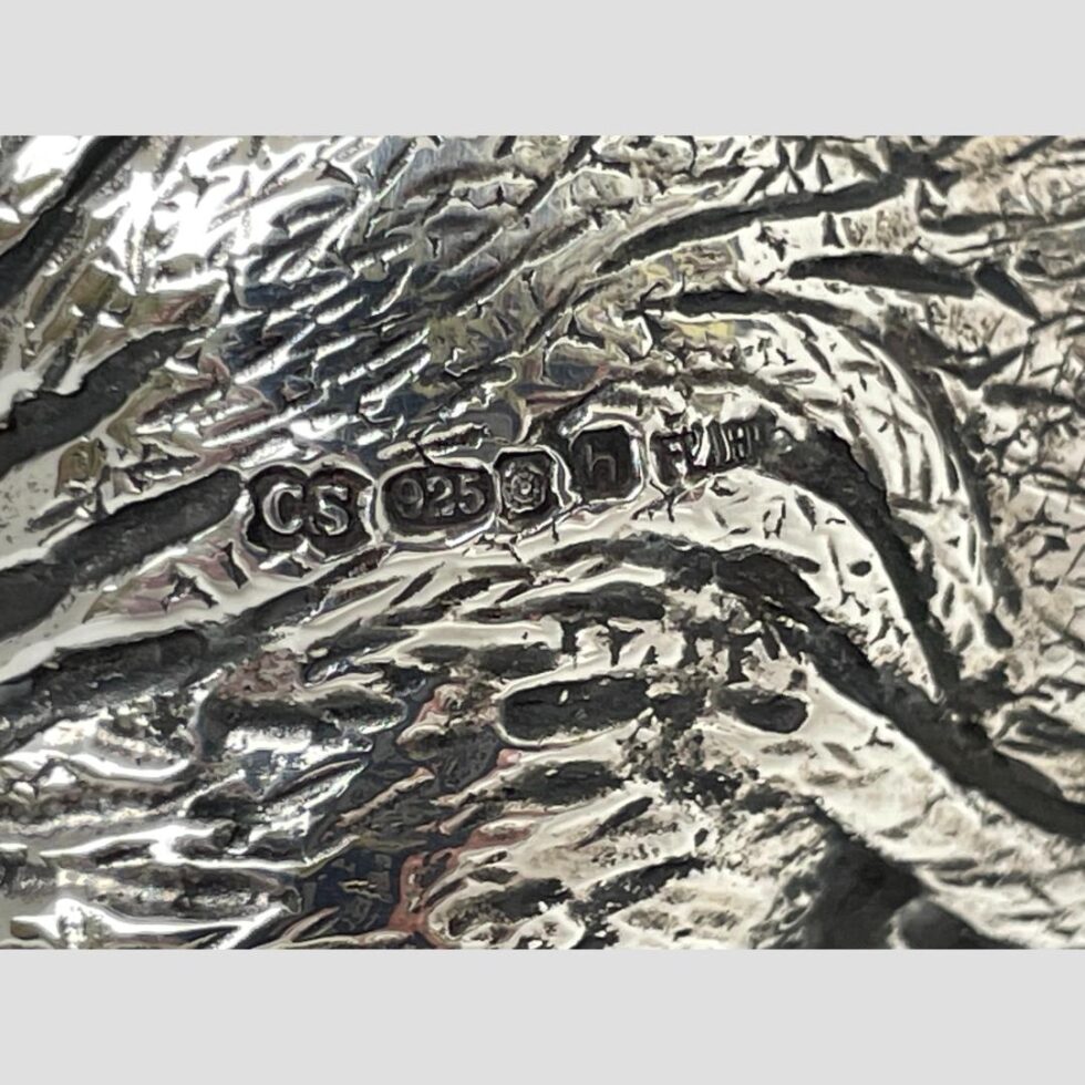 Close up photo of the hallmark on the elephants rump.