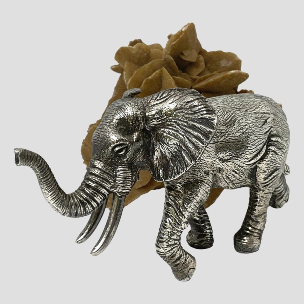 Main photo of silver encased African elephant displayed facing the bottom left corner. This is a healthy young bull with large ears, raised trunk and mid length tusks. Lovely attention to detail with wrinkles on the hide, this elephant appears to be moving along slowly. There is a piece of natural desert sand rose in the background for effect.