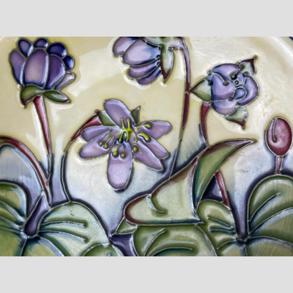 Close up photo of the Hepatica flowers and leaves.