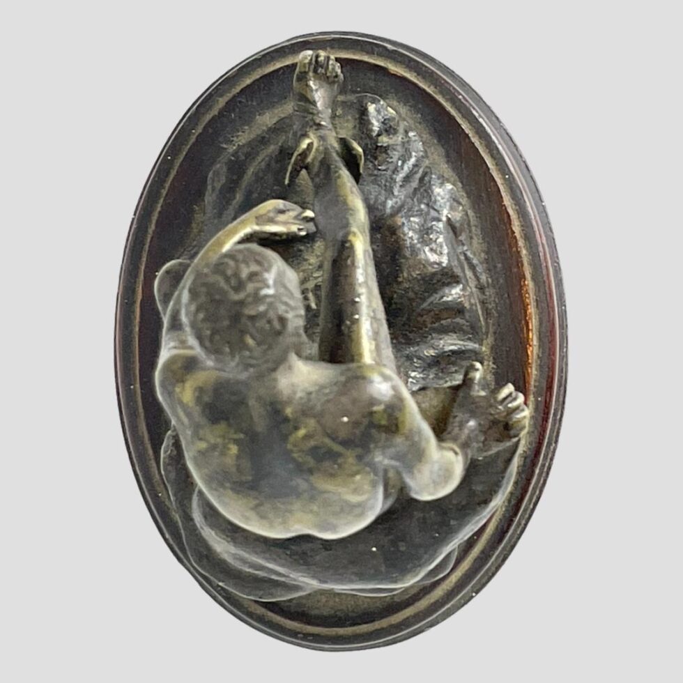 Photo looking straight down at Hermes from above. He is sat facing the centre top.