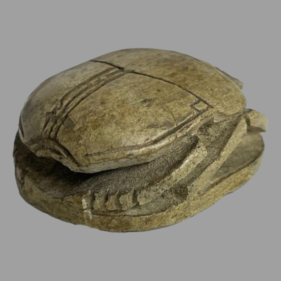 Photo of scarab beetle bead laid on a flat surface with its back end and one side on display.