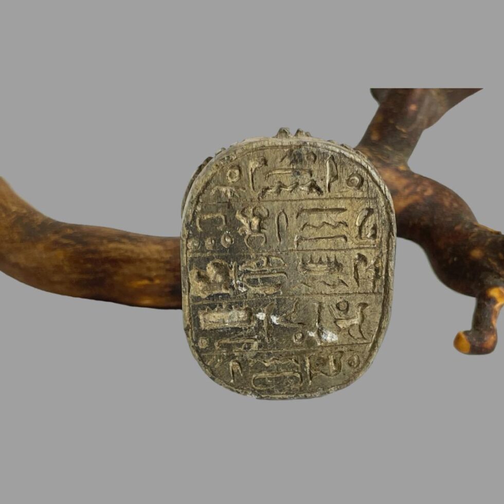 Photo of the back of the scarab beetle displaying the hieroglyphs carved into the soapstone.