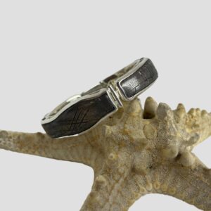 Main photo of Viking eternal snake bracelet displayed leaning up on its side against a starfish. The head and tail ends of the snake bracelet are in the centre foreground. The silver frame for the snakeskin has been specially crafted to fit around the remnants of the original bracelet so the form of the snake is not compromised.