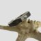 Main photo of Viking eternal snake bracelet displayed leaning up on its side against a starfish. The head and tail ends of the snake bracelet are in the centre foreground. The silver frame for the snakeskin has been specially crafted to fit around the remnants of the original bracelet so the form of the snake is not compromised.