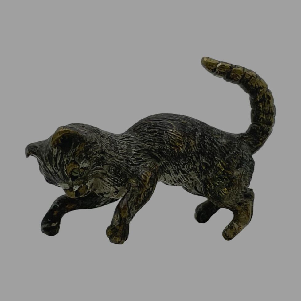 Photo of small bronze cat this time on all fours. The paw which looked raised in main photo appears as if playing with something in this pose.