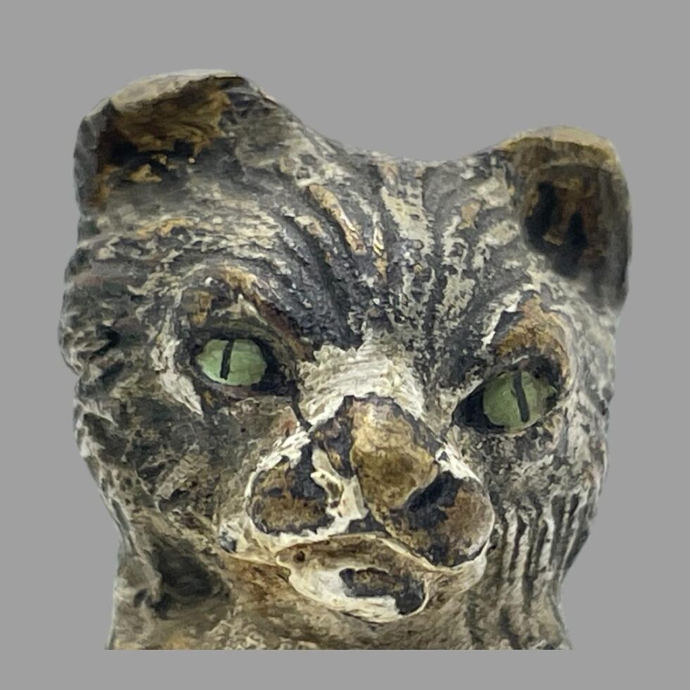 Close up photo of the cats face. It has lovely pale green eyes and was/is clearly a tabby.