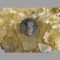Main photo of Roman empire one Denarius coin displayed on top of a rock of natural river quartz with the obverse showing the bare head of Augustus in profile and facing right. It shows him with a straight Roman nose and lovely wavy hair - incredible this was all created at that time. They really don't make them like they used to!