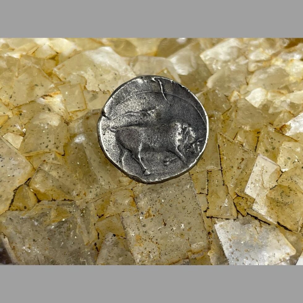 Photo of the reverse side of Roman empire one Denarius coin showing the butting bull facing right with head down ready to do some butting!