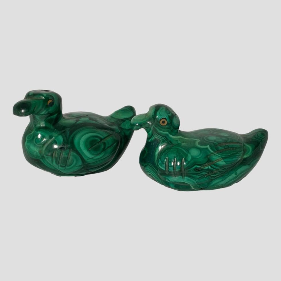 Photo of the 2 malachite ducks this time with one behind the other and both facing left.