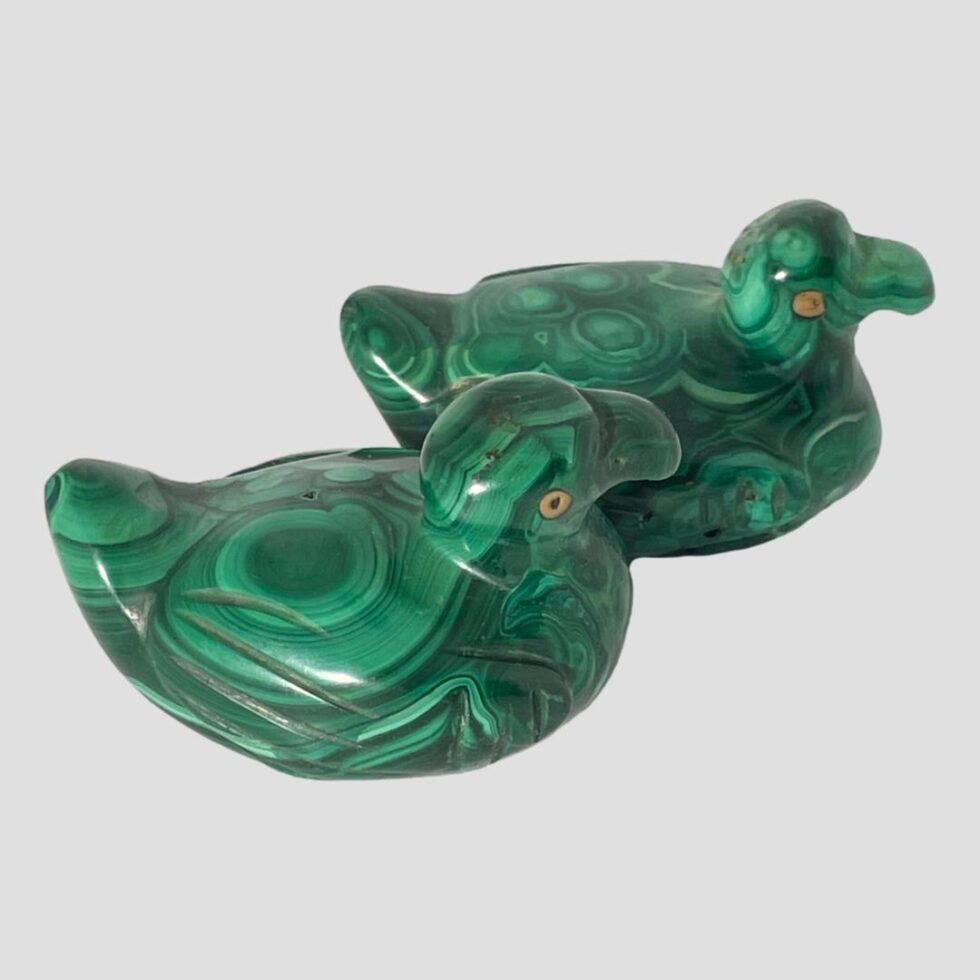 Photo of the 2 malachite ducks now facing right with one at back sticking forward a little more than the other in the foreground.