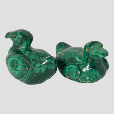 Main photo of pair of malachite ducks shown side by side with one on left facing away from camera towards the top left corner and one on the right facing towards bottom right corner. They are side by side and top to tail and displayed diagonally.