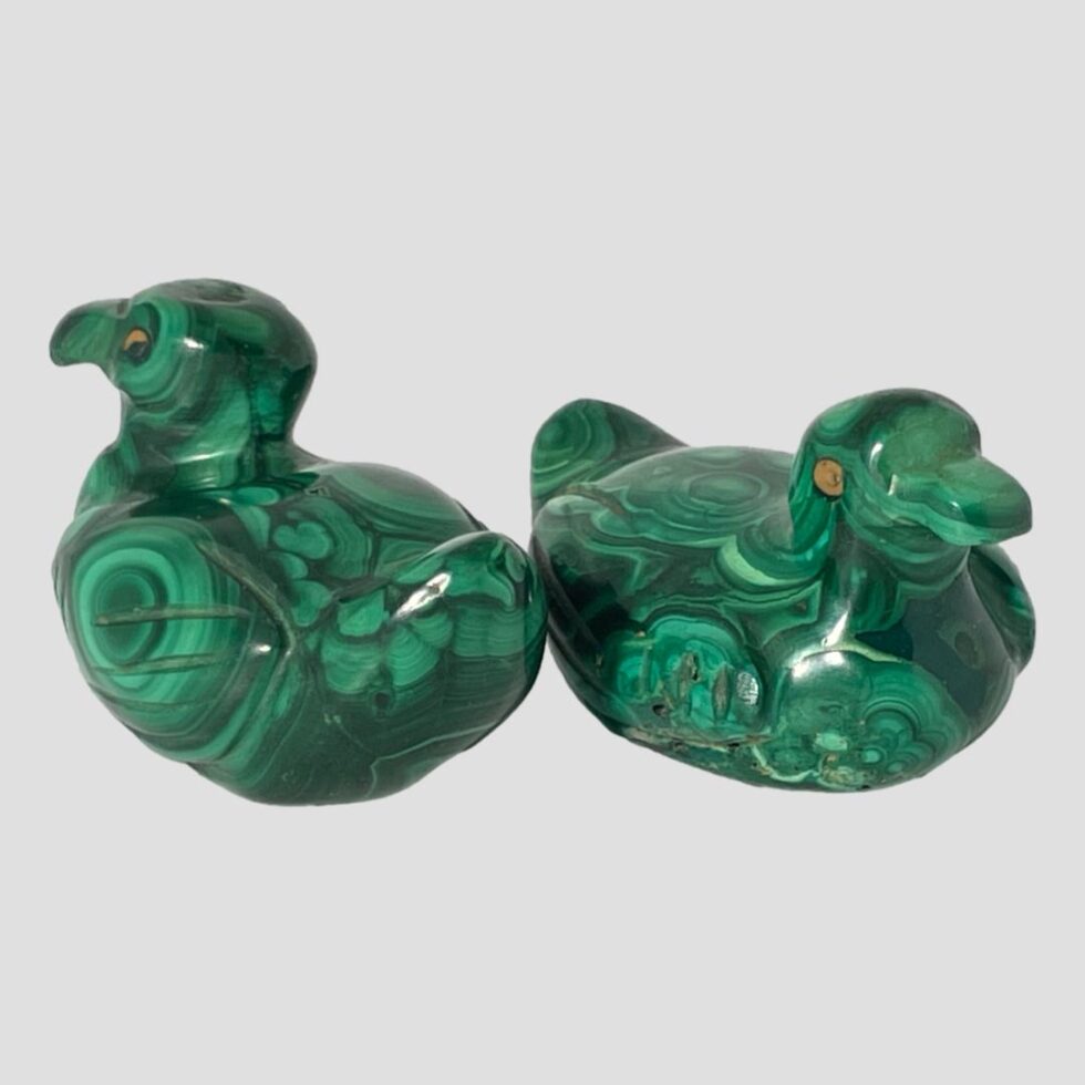 Main photo of pair of malachite ducks shown side by side with one on left facing away from camera towards the top left corner and one on the right facing towards bottom right corner. They are side by side and top to tail and displayed diagonally.