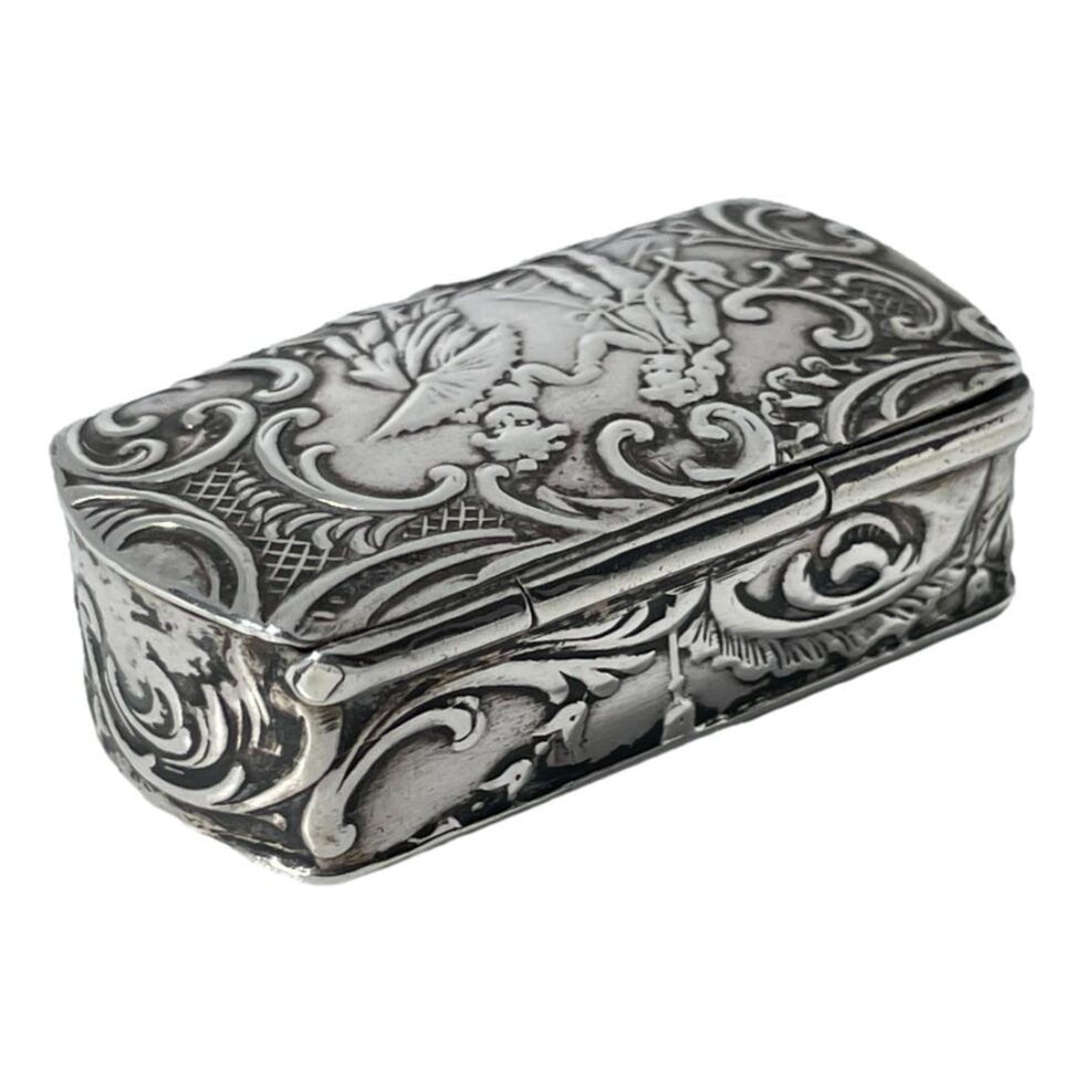 Photo showing the hinged back of the box. The hinge runs all along the back of the opening lid making it very secure.